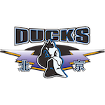 京粤战场的秘密:职业球员转会后的生存进化法则 体育新闻 京粤战场的秘密:职业球员转会后的生存进化法则 体育新闻