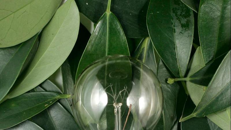  碳资产化时代：合成橡胶行业绿色转型的技术逻辑与实现路径 新闻