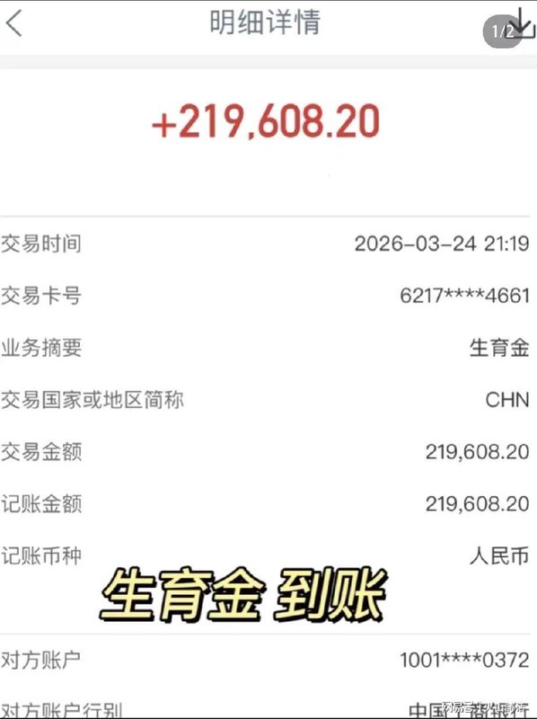  生育津贴背后的精密算法：上海219608.20元到账的深层逻辑 新闻