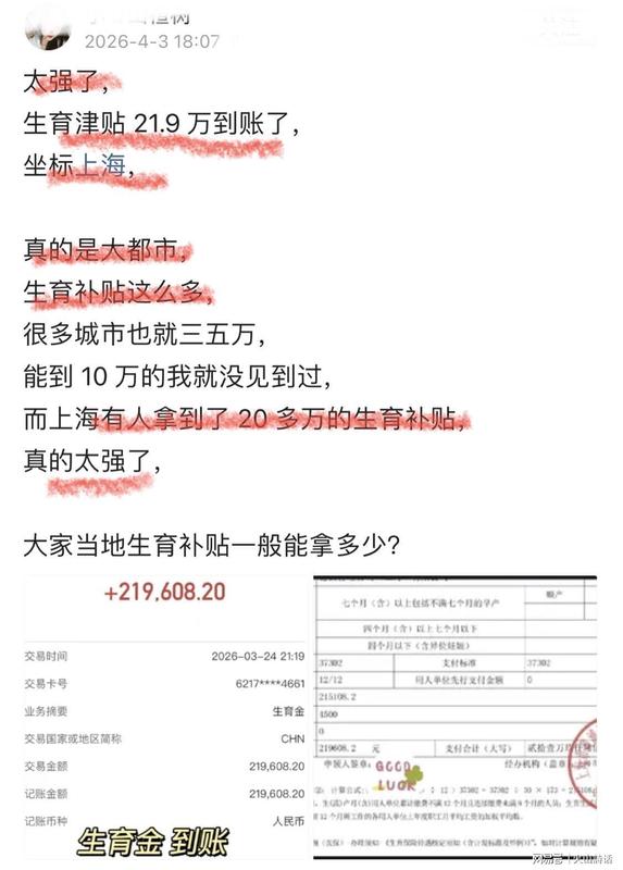  生育津贴背后的精密算法：上海219608.20元到账的深层逻辑 新闻