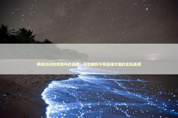 网络访问效率提升的真相：深度解析不同连接方案的实际表现 IT技术