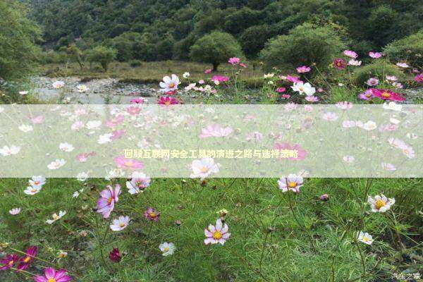 回顾互联网安全工具的演进之路与选择策略 回顾互联网安全工具的演进之路与选择策略 IT技术