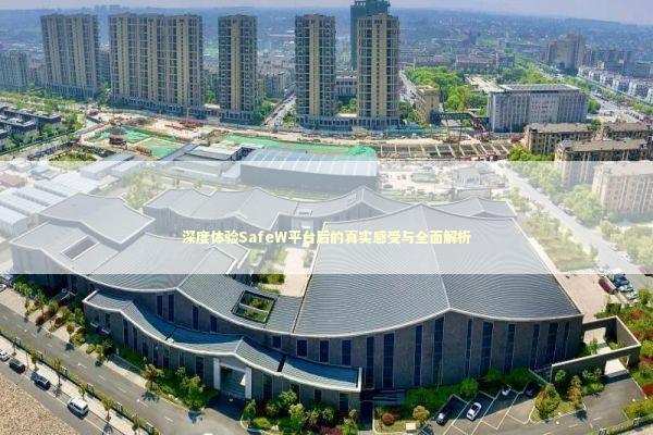 深度体验SafeW平台后的真实感受与全面解析 深度体验SafeW平台后的真实感受与全面解析 IT技术